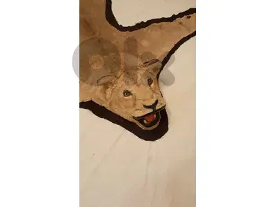 قطعة ما في غيرها بي لبنان