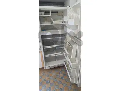 1 big refrigerator  and 1 small freezer