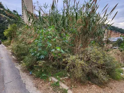 Industrial Land for sale