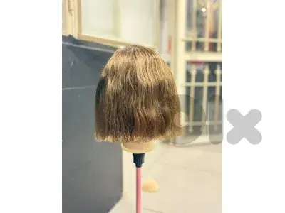 Hair wig