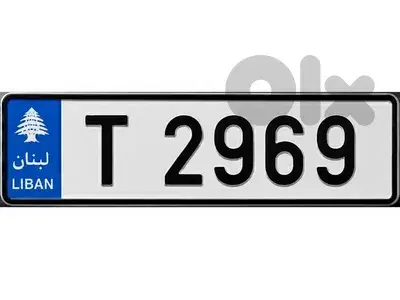 Special 4-Digit Car Plate Number – T2969