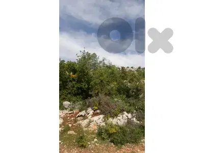 Land for sale in Al Kfeir Hasbaya أرص للبيع في الكفير حاصبيا