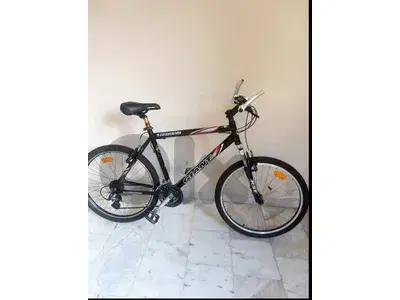 🚴 Giant USA Bicycle – Size 26