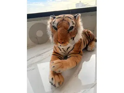tiger plushy
