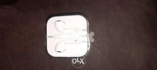 Apple original earphones wired.