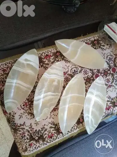 صحون شحم عظم