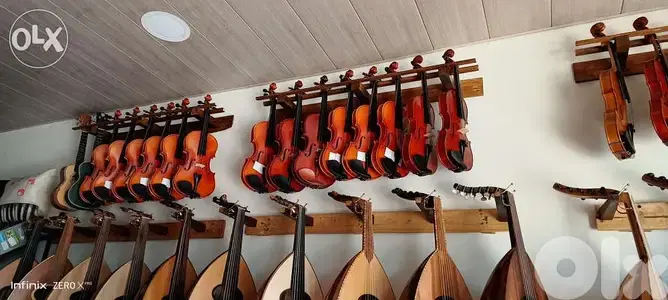 Violin with all accessories