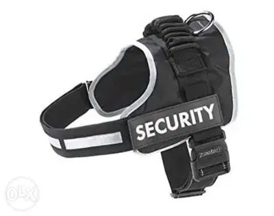 Zoofari Dog Harness / 4$ delivery