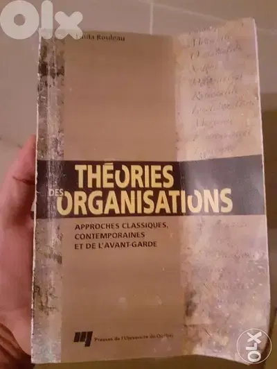 Theories des organisations