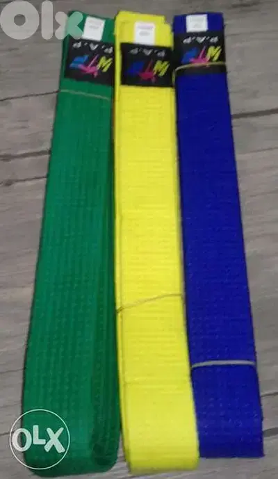 Martial arts belt