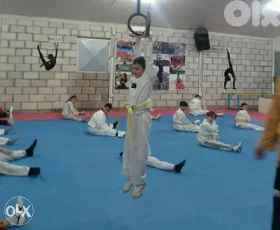 Taekwondo private classes