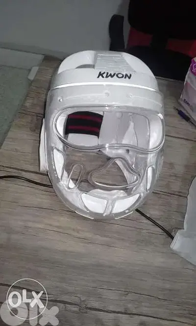 Face mask (all taekwondo accessories)