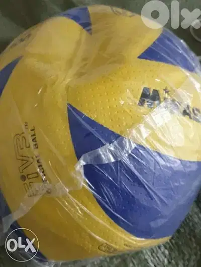 Volleyball
