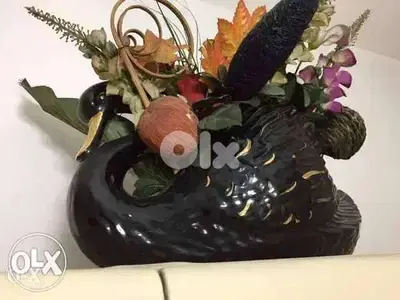 Vase duck design فاز Vase duck design فاز