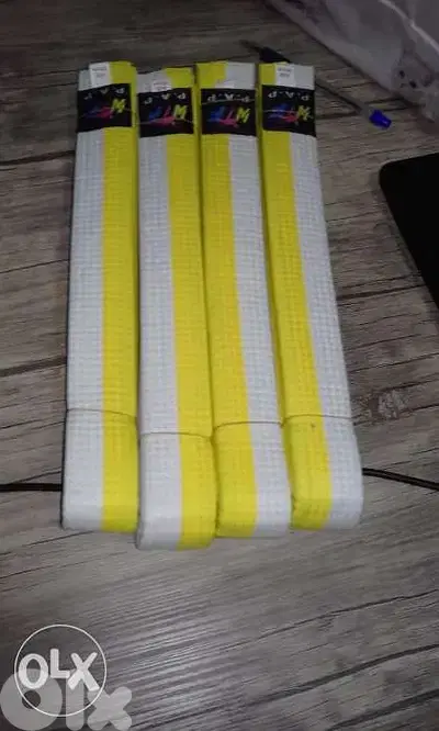 Taekwondo belt