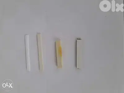 Nuts for Fingerboard