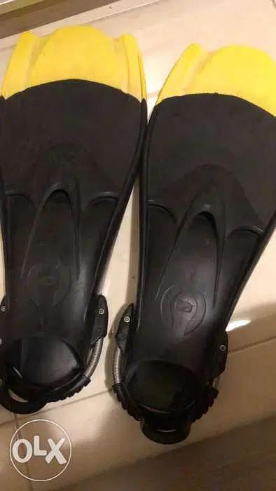 Hollis F1 fins
