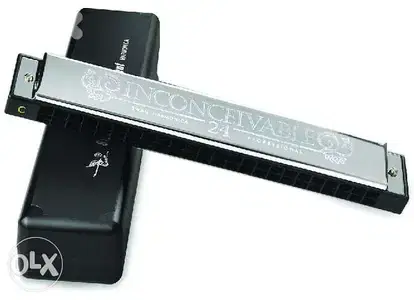 Brand New 24 Holes Inconceivable Harmonica Musical Instrument