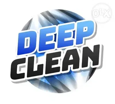 Professional CLeaners
