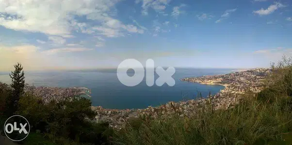 نقل و فك اثاث مع نجار و عمال محترفين ضمن شركة متخصصة