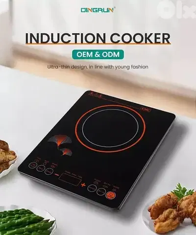 National Induction cooker only for stainless steel cooker