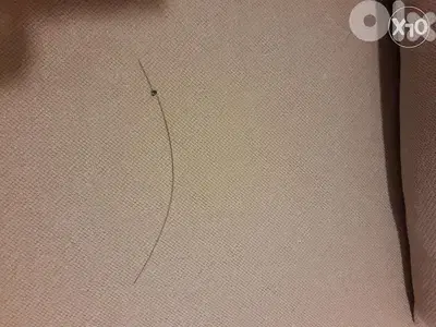Cord in metal for tailpiece of Violin