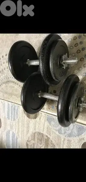 2 axe dumbells plus 30 kg rubber plates 03027072 GEO SPORTS