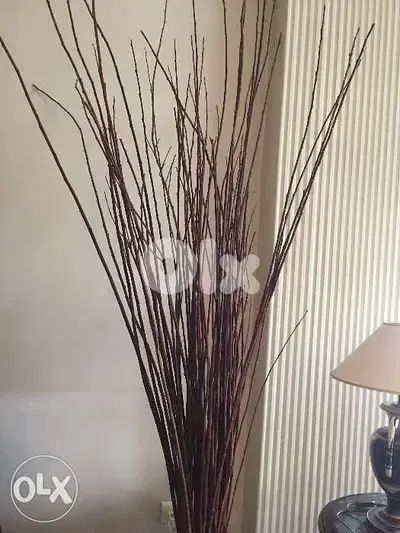 Tige de bois decoratif