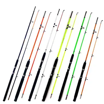 Brand New Chongjin Spinning Fishing Rod