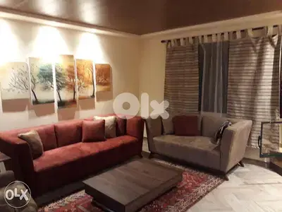 تركيب اسقف مستعاره و برادي داخلي و خارجي+كهرباء
