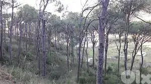 2500SQ Land In Broumana MAR CHAYAA Prime, BRLN-115