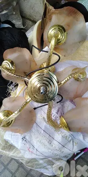 تريا  حلوه. . . . . .