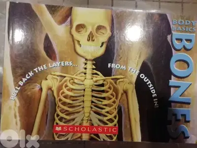 bones