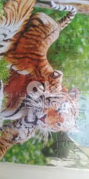 بازل ذكاء ب ٥٠ الف