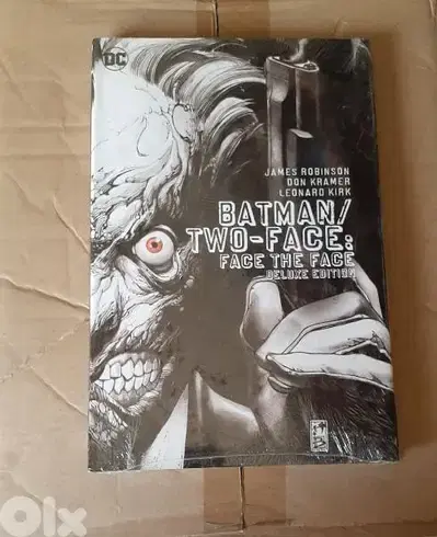 Batman Two-Face Graphic Novel.
