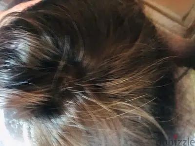 شعر طبيعي ١٠٠٪؜hair extensions 100% normal