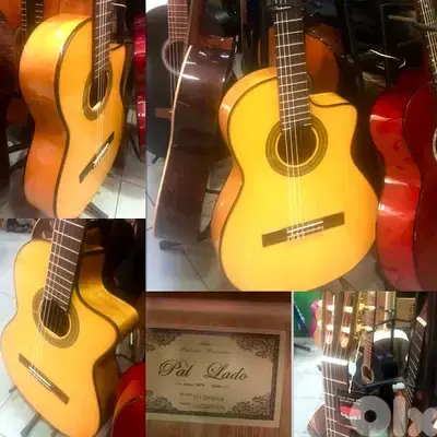 flamingo Spanish guitar