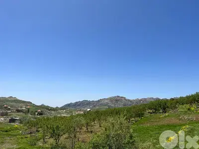 1430 m2 land + mountain view for sale in Laqlouq ارض للبيع في اللقلوق