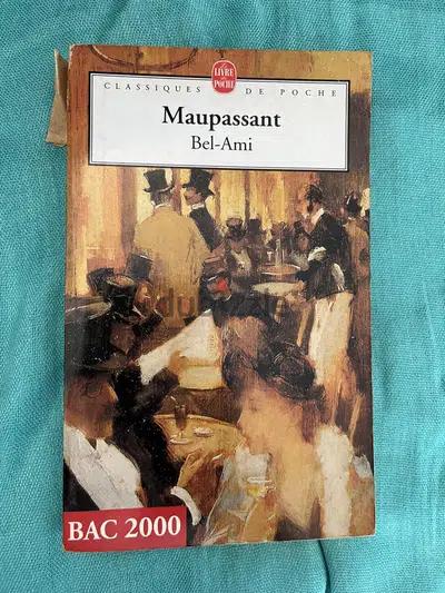 Bel ami (poche)
