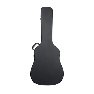 Acoustic Guitar Leather hard case