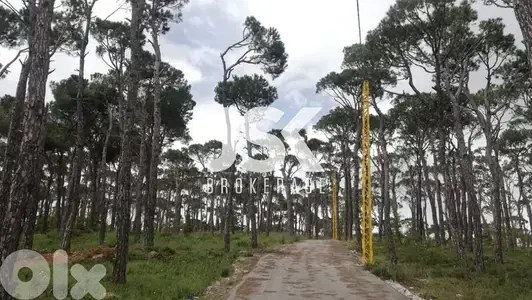 L12332-A Unique Land With Amazing Green View for Sale In Bolonia