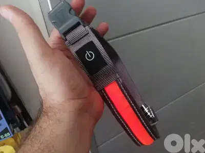 Zoofari dog Led Collar