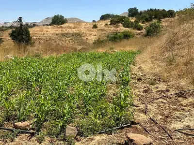 887m2 land + open view for sale in Laqlouq, أرض للبيع في اللقلوق