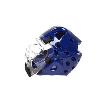 Everlast head guard with protection mask