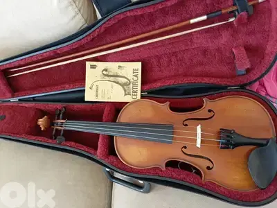 Professional Violin