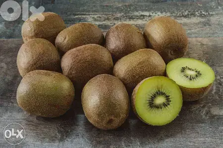 spanish kiwi hayward and gold available كيوي