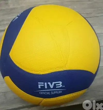 Volley ball Mikasa V200W