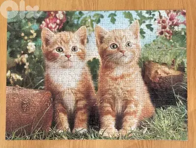 Puzzles Chatons 500 Pcs