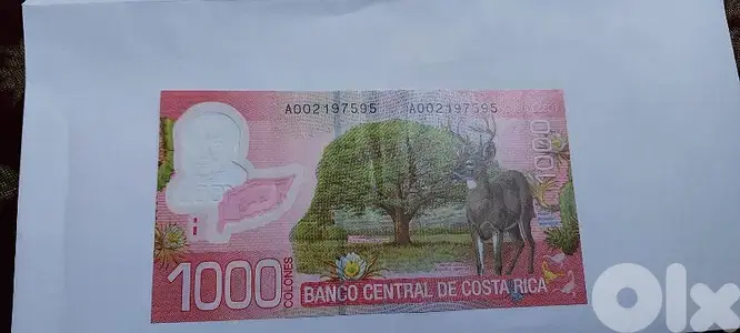 Costa Rica polymer Banknote 1000 Mil Costa Rica polymer Banknote 1000 Mil