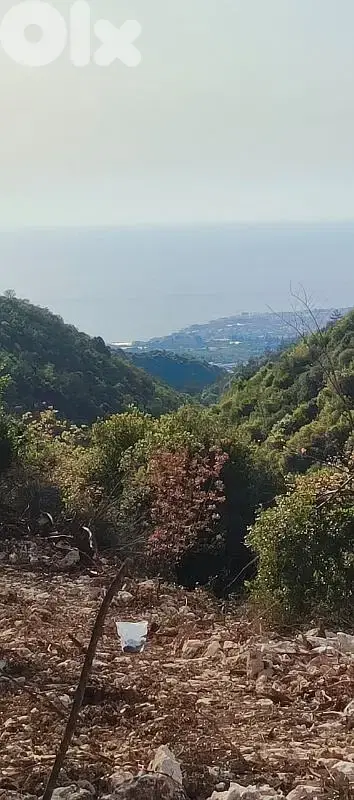 *Hot Deal* Land for sale in Breij jbeil *Hot Deal* Land for sale in Breij jbeil